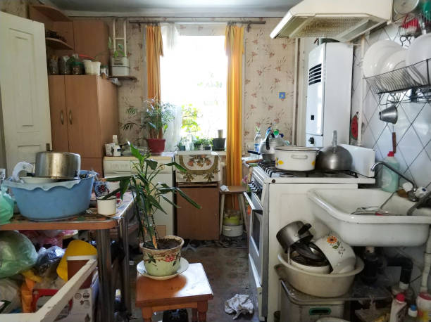 Clutter Removal and Home Sanitization